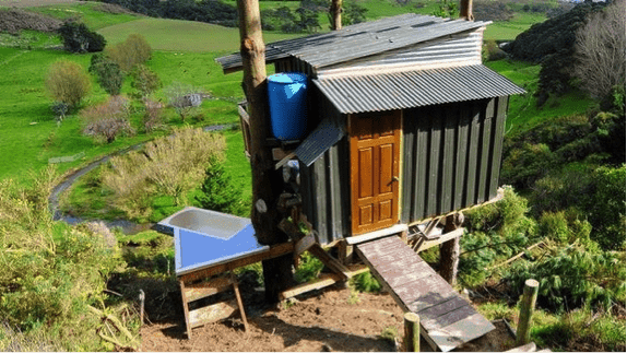 jono williams tree bach skysphere